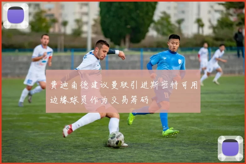 费迪南德建议曼联引进斯密特可用边缘球员作为交易筹码